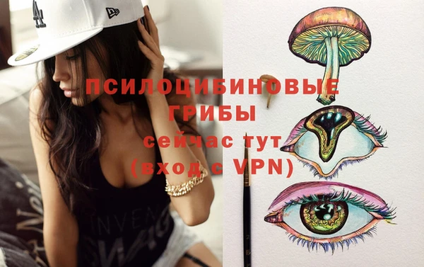 метадон Белокуриха