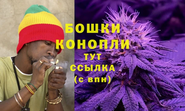 метадон Белокуриха