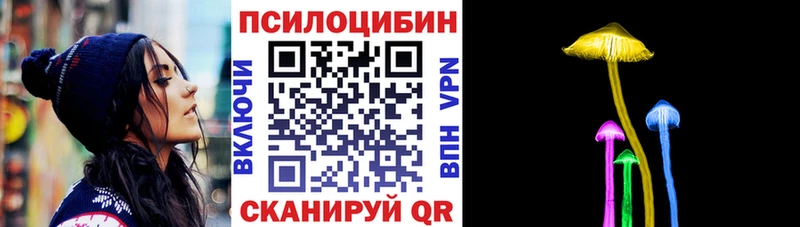Псилоцибиновые грибы Psilocybe Ногинск